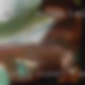 Horny women Farmingdale